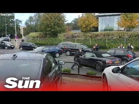 Dramatic moment UK armed cops swoop in on Audi in North London