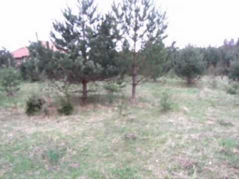 Działka Kąpino k/Wejherowa na sprzedaż ! www.house4u.pl tel. 500600234, 500 600 239