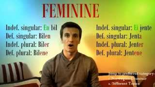 1 Hour of Free Norwegian Lessons