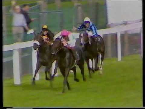1983 Royal Lodge Stakes Gold & Ivory Includes Replay & Enclosure