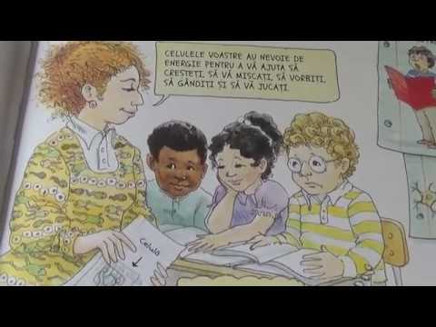 Autobuzul magic, în fluxul sangvin