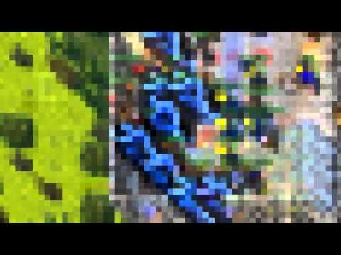 --Fatum Crew-- Frag Movie [HD] BY Shedy