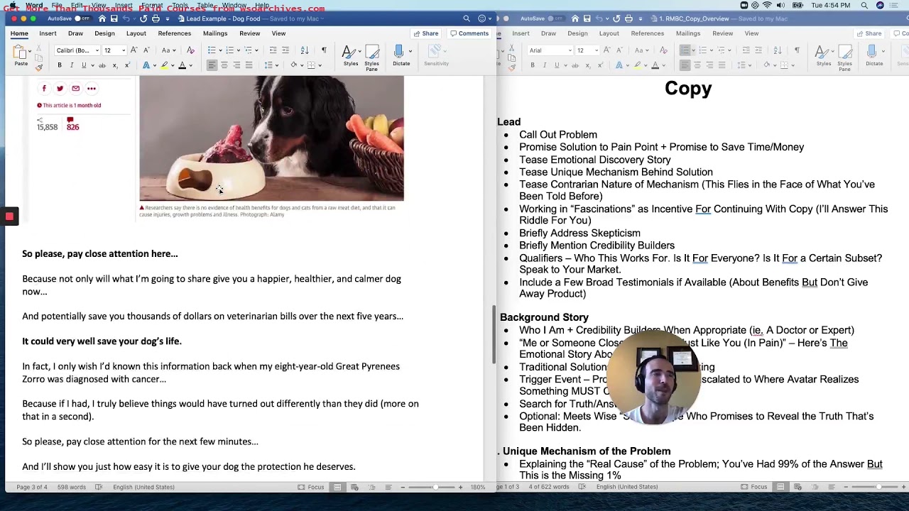 [COPY STEFAN] 04 - Exemplo de Comida de Cachorro