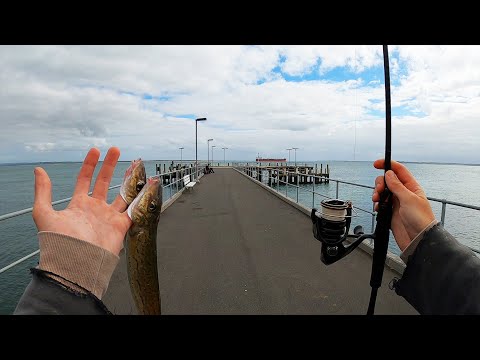 How To Start Jetty Fishing! (Beginners Guide)