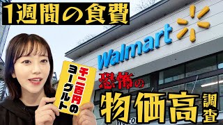 【衝撃】ヨーグルトが1200円？歴史的な物価高を更新中のカナダで１週間分のお買い物😱