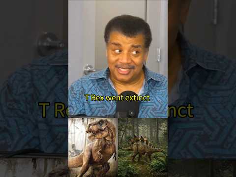 Dinosaur 🦖 Extinction 65 million years ago with Neil deGrasse Tyson #shorts