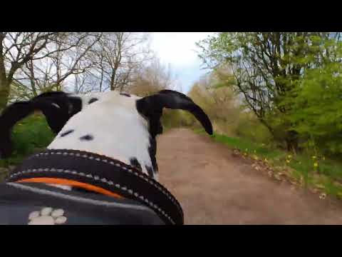 Middlewood Way 22/04/23