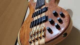 Video thumbnail for Yamaha TRB 5PII - Old strings vs New strings by SP Studio