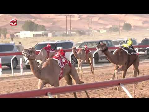 7 alsaad
