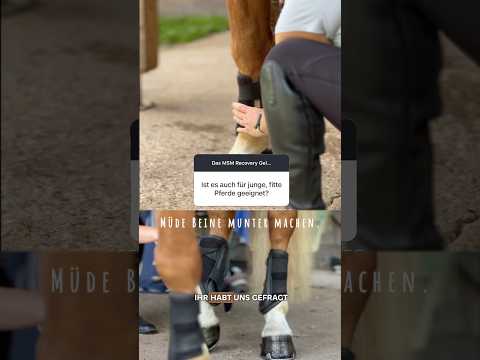 Auch zur präventiven Pflege geeignet - das MSM Recovery Gel mit MSM & Teufelskralle! 🩵 #cxevalo