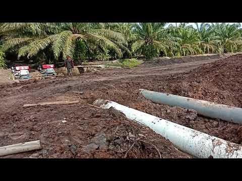 mesin sedot air proprleer 12 in mesin dompeng