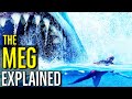 That Time Jason Statham Fought A Megalodon - THE MEG Explained
