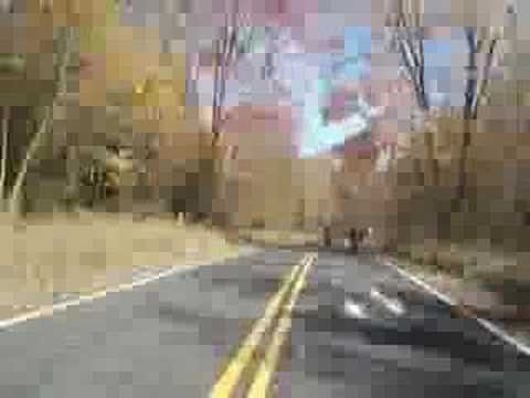 Sproul Forest Ride