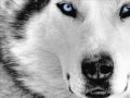 Rihanna - Love The Way You Lie (Remix 2011 ...