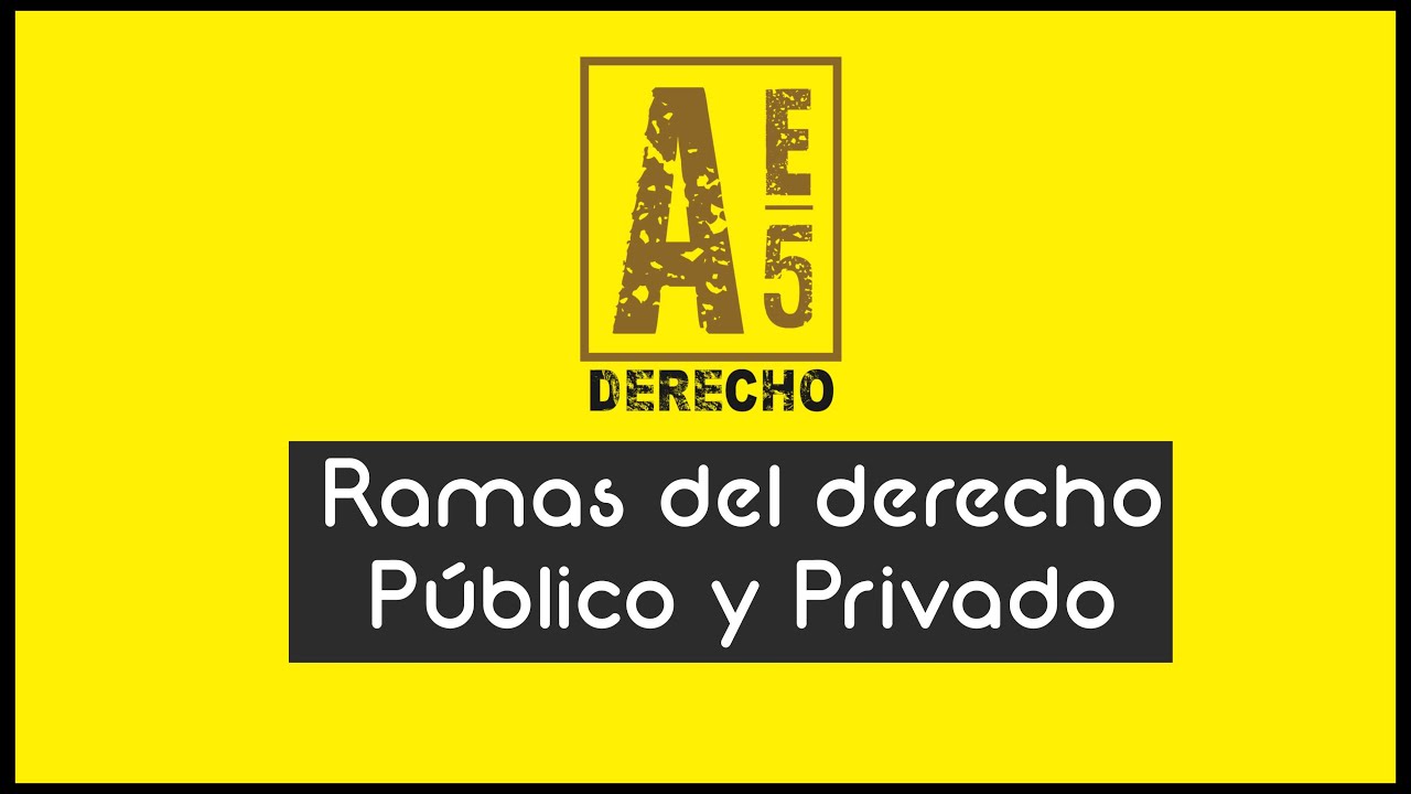 What are the branches of law? Learn about the differences between public law and private law.
