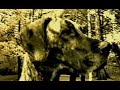 HIM - Wicked Game (1996)