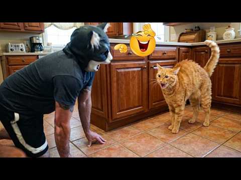 No One Warned Me Pets Could Be This Weird 😂🐱🐶