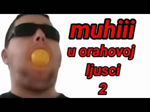 Muhi u orahovoj ljusci 2