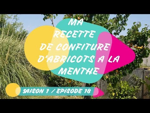 MA RECETTE DE CONFITURE D'ABRICOTS A LA MENTHE