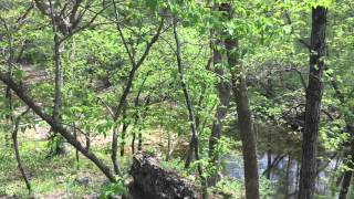 Prairie Garden Trust