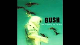 Bush - The Chemicals Between Us   [Official]