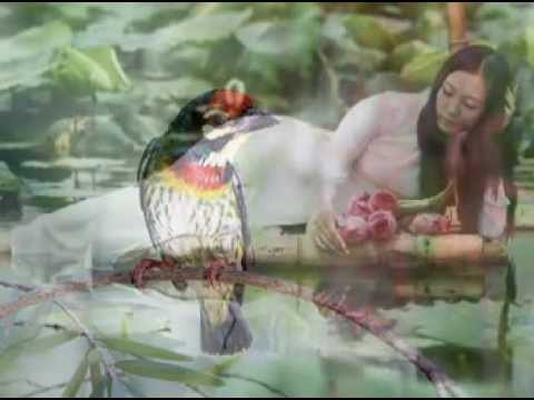 Lỗi hẹn - Hương Giang