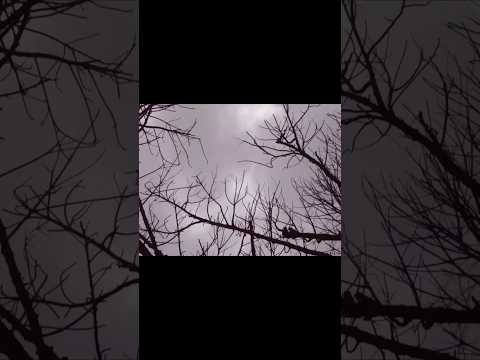 Party addict - kets4eki & nosgov x oiiai