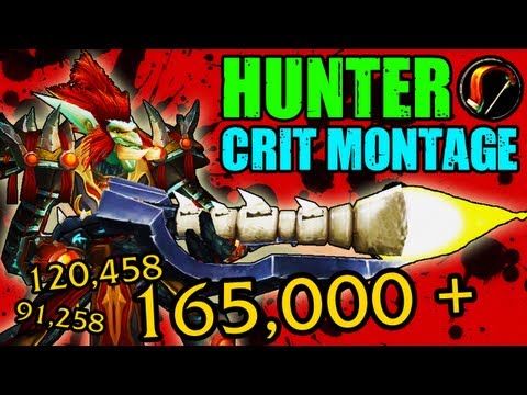 Zumio - WORLDS HIGHEST Hunter Burst - Tasty Crit Montage #1