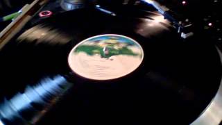 Camper Van Beethoven  - All Her Favorite Fruit