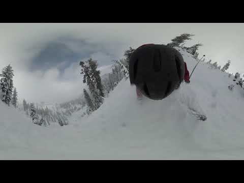 Powder day 2019-02-02