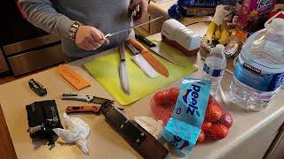 Chef's Choice Electric Sharpener  review #2