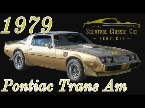 1979 Pontiac Firebird Trans Am (CC-1896266) for sale in Palmetto, Florida