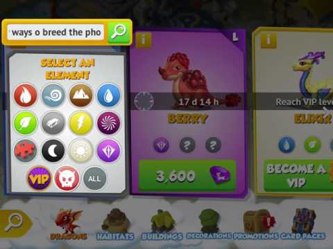 How o breed the phoenix dragon🐤🐤🐤