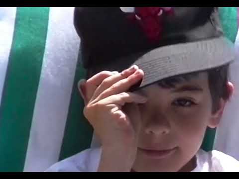 20º Doclisboa | Verdes Anos | Febre Postal | Vasco Vasconcelos