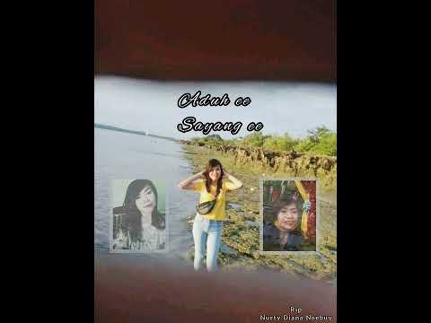 lirik lagu bahagia disana