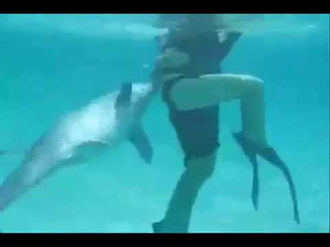 Dolphin Gets A Little Too Friendly With Girl   YouTube