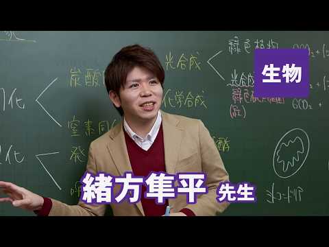 コンピュータ理工学科 東進　講師紹介 生物　緒方 隼平先生