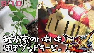 【参加型】リノプロ頭とあそぼー「モンスターハンターダブルクロス」