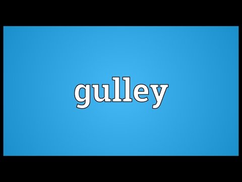 Gulley Meaning