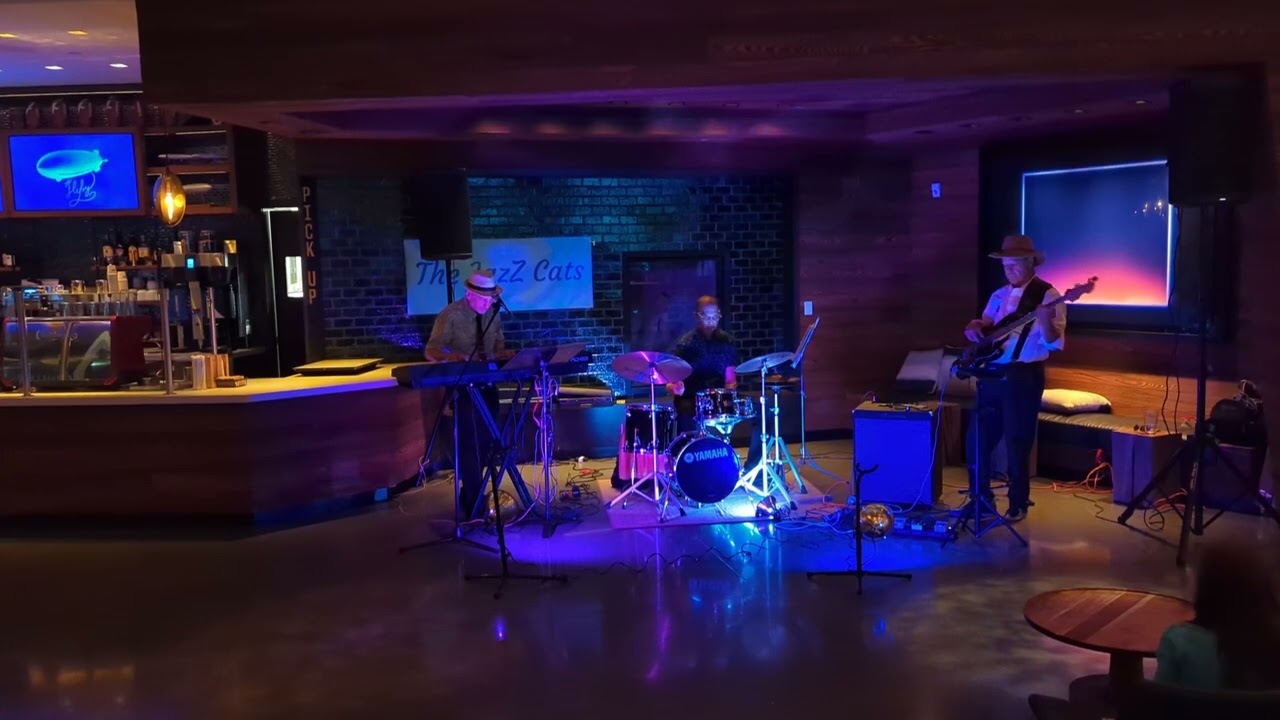 Promotional video thumbnail 1 for The Jazz Cats