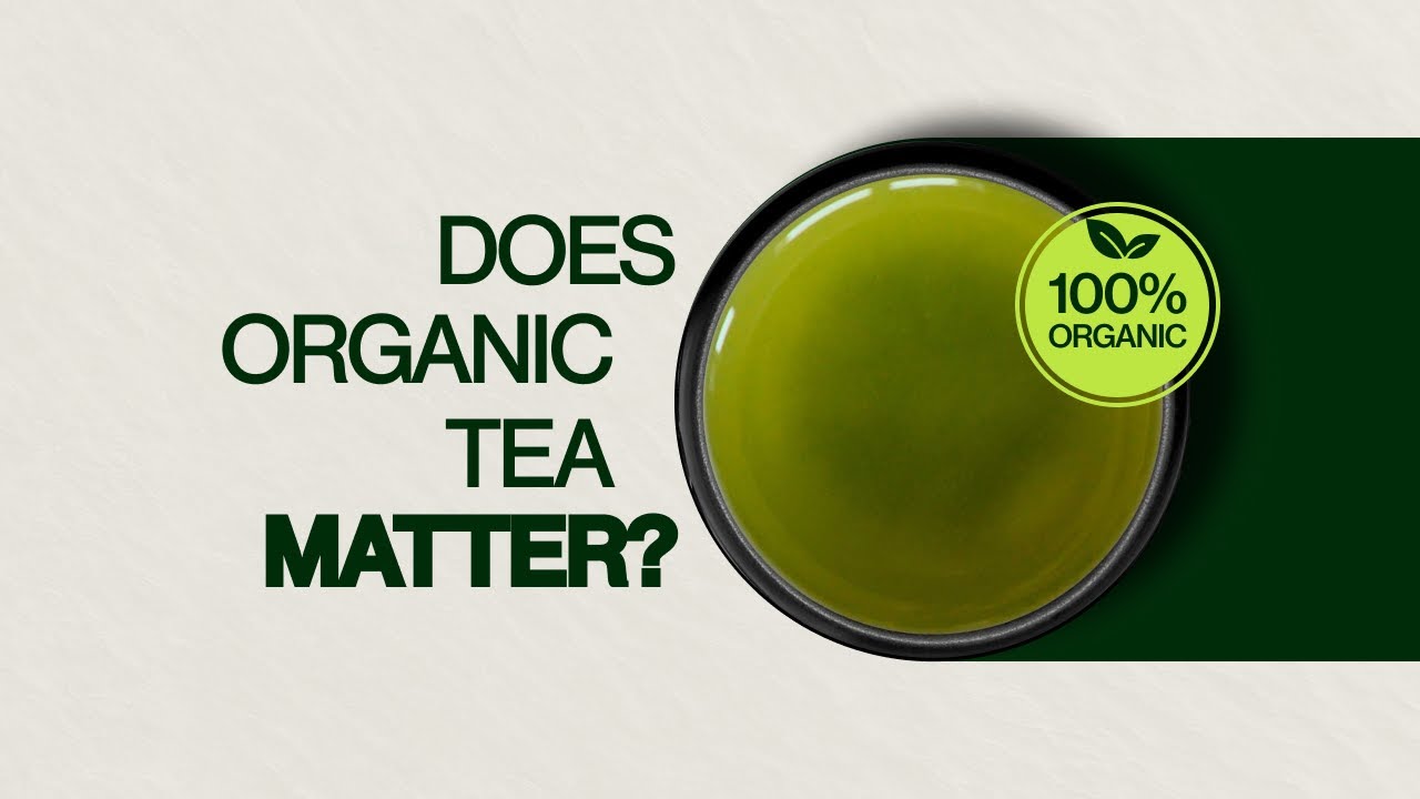 Organic Tea Benefits Compared to Regular Tea