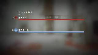 Destiny2～クルーシブル色々～