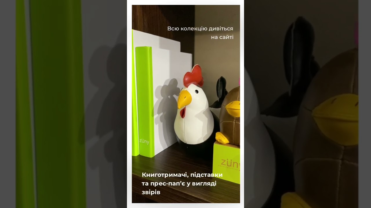 Video preview