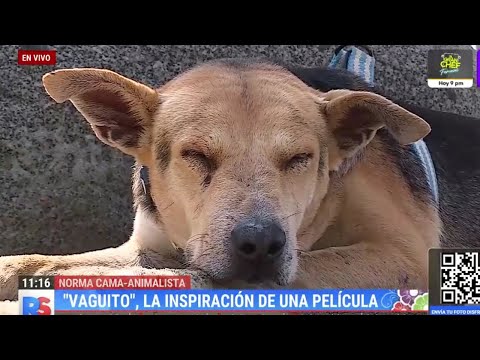 REPORTAJE de VAGUITO - Una Historia que inspiró una película