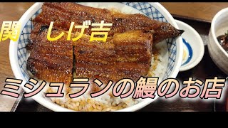 岐阜関市　ミシュランの鰻屋さん　しげ吉の鰻