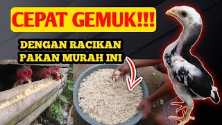 Download lagu GET FAT QUICKLY!!! MAKE CHEAP, HIGH-PROTEIN CHICKEN FEED FROM TOFU DUMP mp3