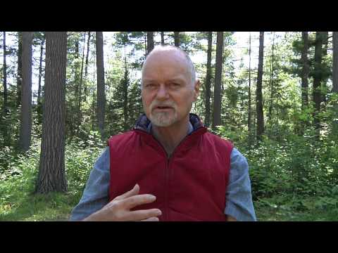 Interview with Veteran Teacher Russell Scott on Enlightenment Intensives, (aka Coming Home Retreats)