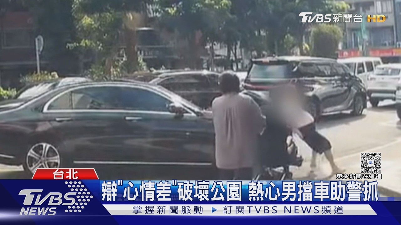 心情差砸公園告示牌！26歲男開車離場　64歲阿伯「躺車前」攔截