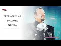 Paloma negra Pepe Aguilar