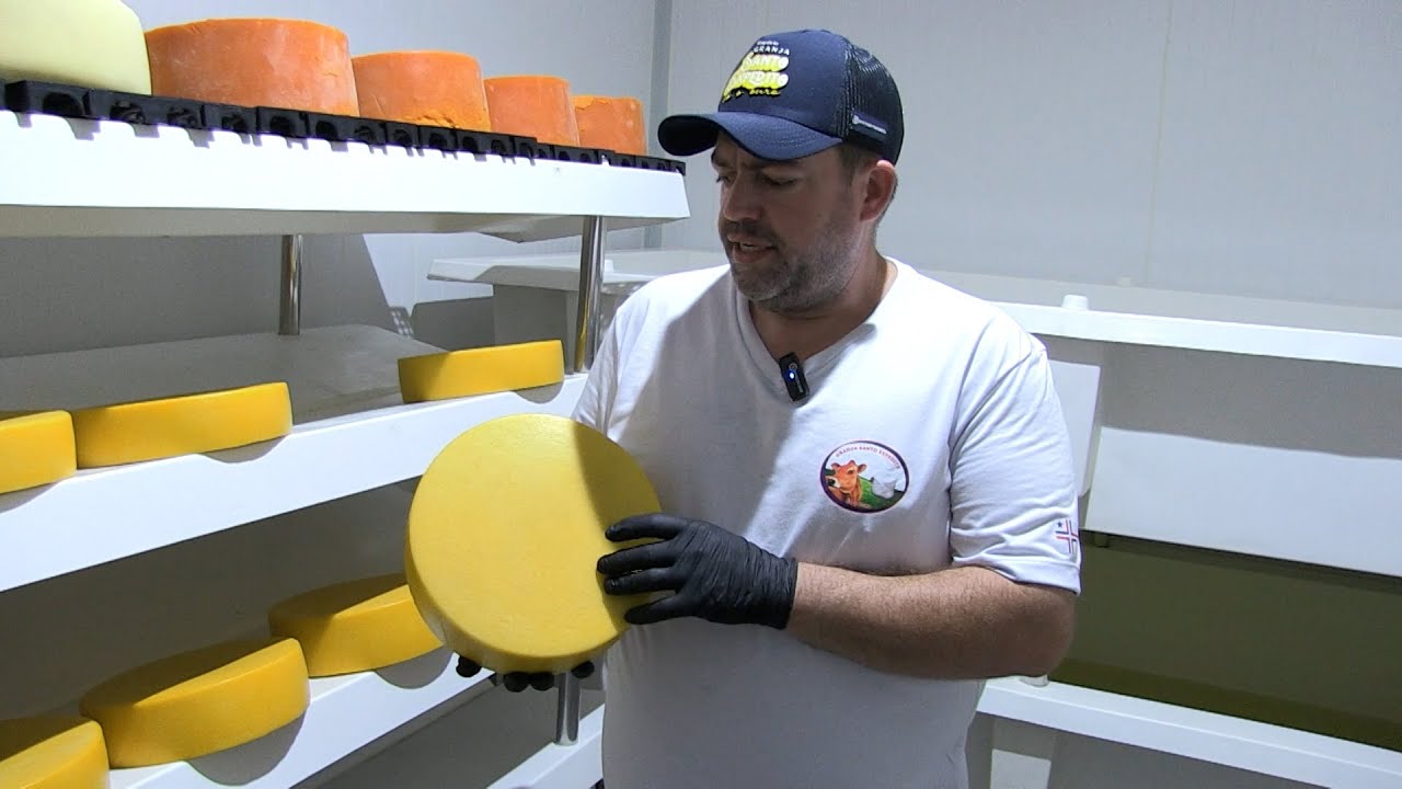 Em menos de um ano, agroindústria de Palotina conquista prêmio de queijos finos